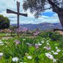 Photo of Veronica Springs Church