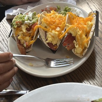 Chadwicks - Brunch Taco - American Near Me - Alexandria, Virginia Chadwicks - Brunch Taco - American Near Me - Alexandria, Virginia