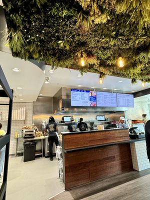 Spread Bagelry by null