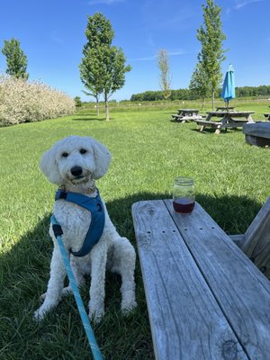 Blue Barn Cidery by null