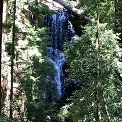 Berry Creek Falls - Berry Creek Falls from the view point
