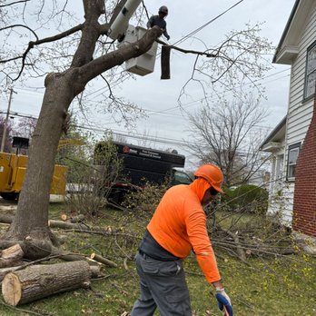 LC Tree Service - Tree Services Near Me - Hagerstown, Maryland LC Tree Service - Tree Services Near Me - Hagerstown, Maryland