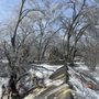 Photo of 4 Brother Professional Tree Service