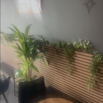 Jade & Java Cafe - Planted inside - Coffee & Tea Near Me - San Francisco, California