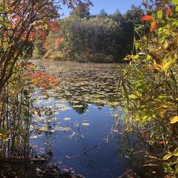 Blue Hills Reservation