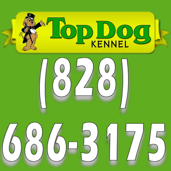 Top Dog Kennel - Top Dog Kennel: 828-686-3175 - Pet Groomers Near Me - Swannanoa, North Carolina Top Dog Kennel - Top Dog Kennel: 828-686-3175 - Pet Groomers Near Me - Swannanoa, North Carolina