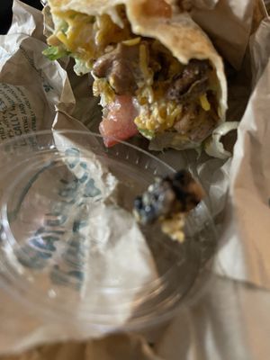 Taco Time NW by null