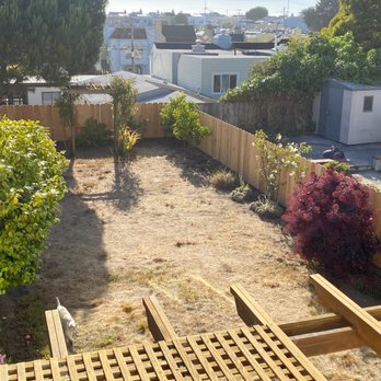Matthew Kelly Construction - a view of the backyard from his house - General Contractors Near Me - San Francisco, California