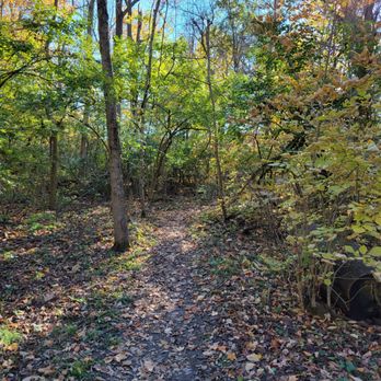 The Gators Bike Park - Trail - Amusement Parks Near Me - Columbus, Ohio