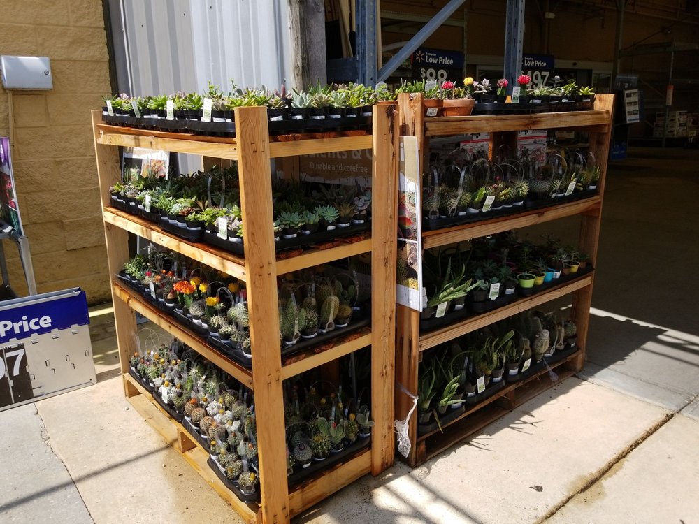 WALMART GARDEN CENTER Updated June 2024 235 Frontage Rd, Picayune