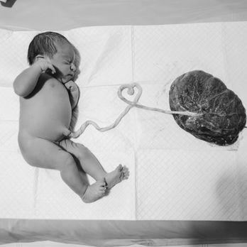 Whispering Waves Midwifery - Baby and placenta - Midwives Near Me - Phoenix, Arizona