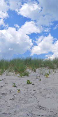 Crescent Beach by null