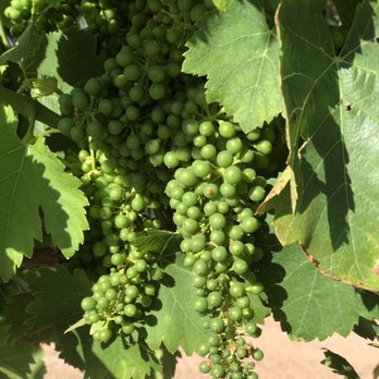 Hatfield Creek Winery - Wine Tasting Room Near Me - Ramona, California