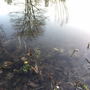Alter Kanal - Hiking Near Me