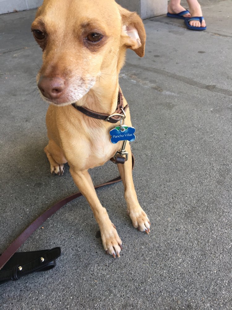 groom room oak street