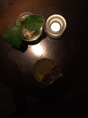 Juniper Edinburgh by null