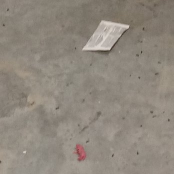 Public Storage - A paper document and a small pink object are on a concrete floor, with scattered dirt and debris. - Self Storage Near Me - Silver Spring, Maryland