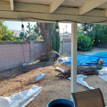 Paez Tree Service - Tree Services Near Me - Anaheim, California