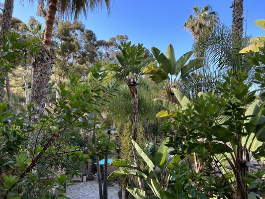 Catalina Canyon Inn by null