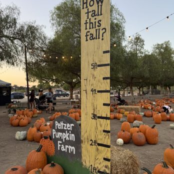 Peltzer Pumpkin Farm - Pumpkin Patches Near Me - Temecula, California