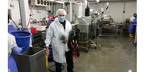 Slide of The Drain Medic