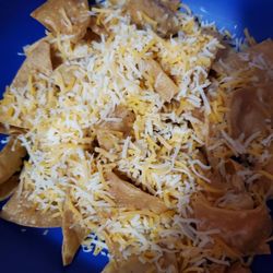 Hot Diggity Dog & Sweet Things - Barbara wanted the nacho chest was just a little spicy which it was and offered regular shredded cheese for the kids