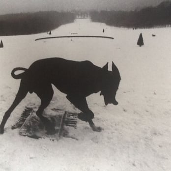 Fundación Mapfre - Tarde de Josef #Koudelka. 50 años de trayectoria de un gran fotógrafo. Sus trabajos estrella: Gitanos, Invasión, Exilios y las paorámicas - Cultural Center Near Me - Madrid, M