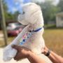 Photo of Nomad Pet Grooming 
