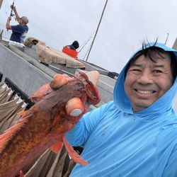 Long Beach Sportfishing