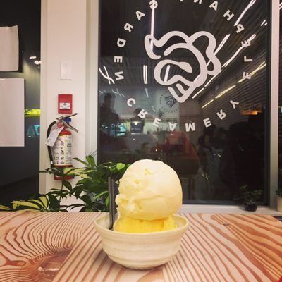 Elephant Garden Creamery by null