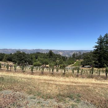 Paloma Vineyard - Wineries Near Me - St. Helena, California Paloma Vineyard - Wineries Near Me - St. Helena, California