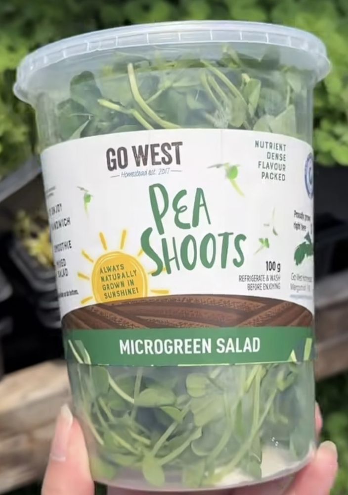 Go West Homestead Logo