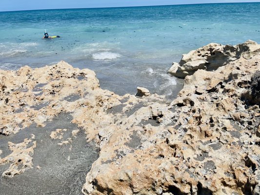 Blowing Rocks Preserve by null