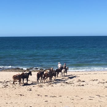 Playa Bonita - Horse back riding - Beaches Near Me - Puerto Peñasco, SON