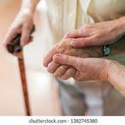Dignity Hospice - Fort Collins