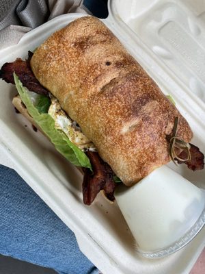 Sunbird Cape Cod by null