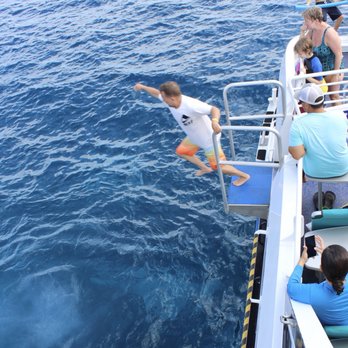 Calypso Charters - Snorkeling Near Me - Wailuku, Hawaii