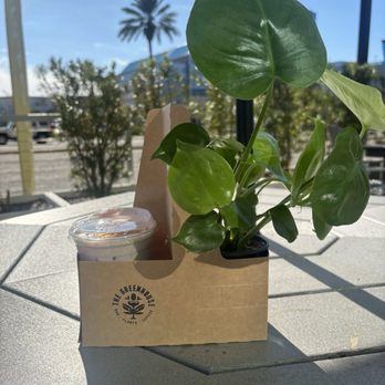 The Greenhouse Bar - Coffee & Tea Near Me - Jacksonville, Florida The Greenhouse Bar - Coffee & Tea Near Me - Jacksonville, Florida