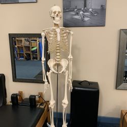 The PILATES Room & ANTIGRAVITY Studio - Bones.