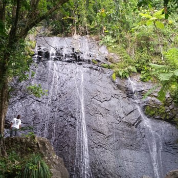El Yunque Rainforest - Hiking Near Me - Luquillo, Puerto Rico