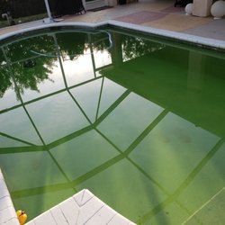 Pinch A Penny Pool Patio Spa - This my pool 2/16/19 I have a copy of the email they sent me around 12 PM saying they add chemicals in my pool