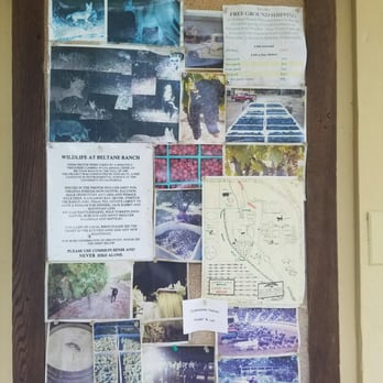 Beltane Ranch - Memory & info board - Bed & Breakfast Near Me - Sonoma, California