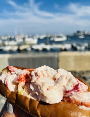 Rye Harbor Lobster Pound by null