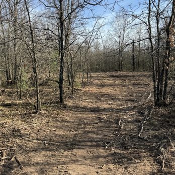 A&E Forestry Mulching - Trail - Tree Services Near Me