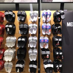 Slides