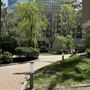Battery Park Dental Group