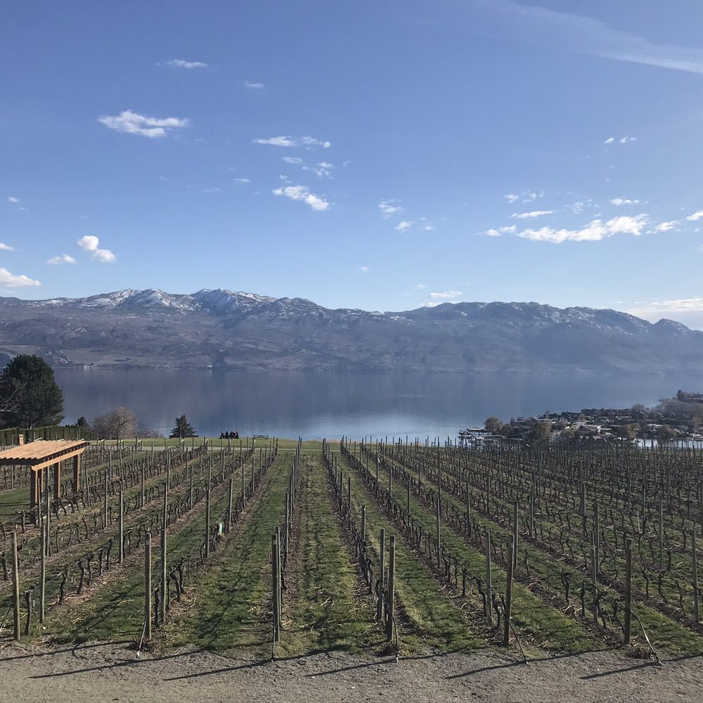 Wicked Wine Tours - Wine Tours Near Me - Kelowna, British Columbia Wicked Wine Tours - Wine Tours Near Me - Kelowna, British Columbia