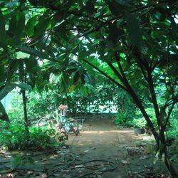 Garden Island Chocolate