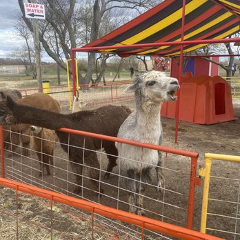 Green Meadows Farm - Attraction Farms Near Me - Brooklyn, New York