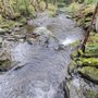 Photo of Alander Mountain Trail